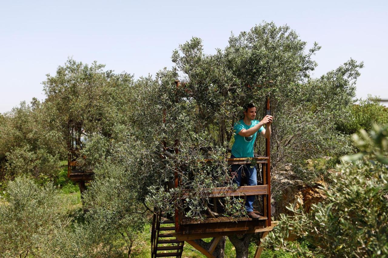 Bed and Breakfast Olá Belém! Cozy Windmill, Stunning views to Lisboa Caparica Zewnętrze zdjęcie