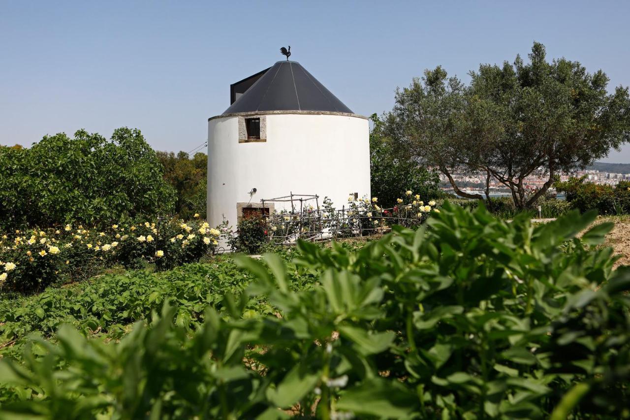 Bed and Breakfast Olá Belém! Cozy Windmill, Stunning views to Lisboa Caparica Zewnętrze zdjęcie